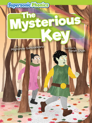 The Mysterious Key - ebook